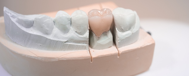 Dentist